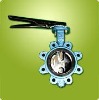 Rubber lined butterfly valve